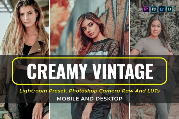 Download 10 Creamy Vintage Presets and Luts - Vintage presets Collection