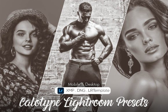 Download Calotype Lightroom Presets - Premium Bundle