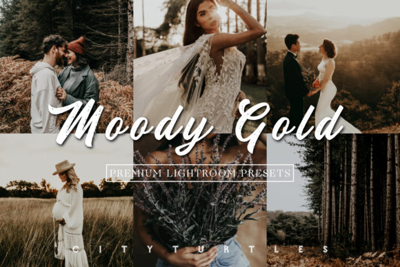 Download Moody Gold Rustic Lightroom Presets - Premium Resources